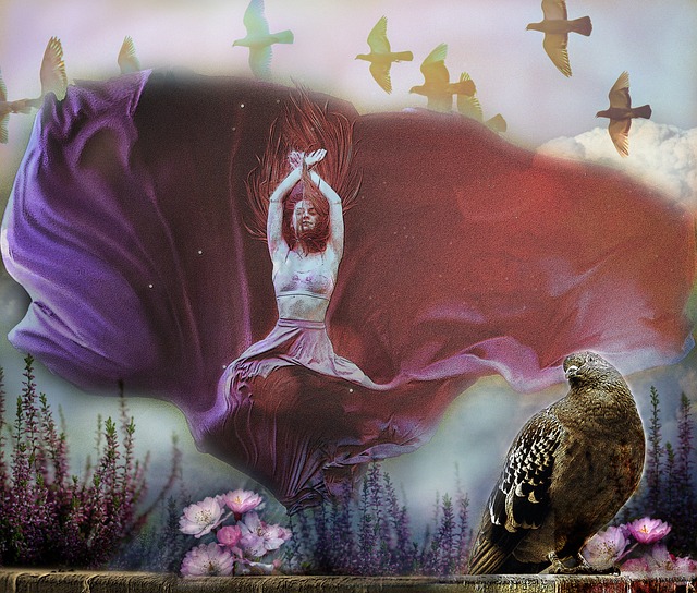 影不仅是一 影不仅是一